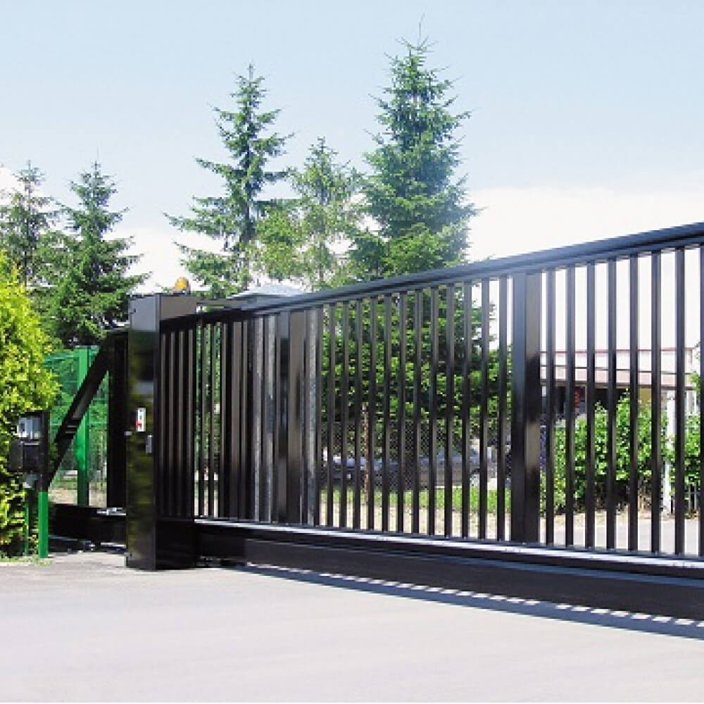 frame_313864.jpg